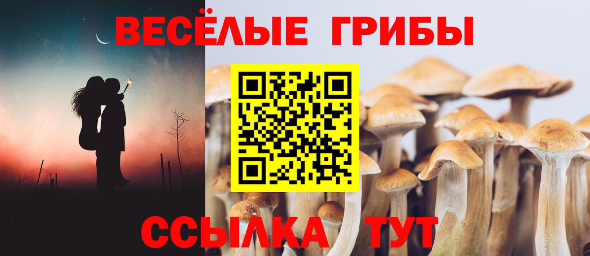 Псилоцибиновые грибы ЛСД Алейск